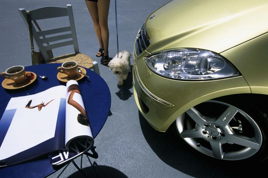  Mercedes-Benz A-Class 3-Door 2004 года  (фото 95 из 138)